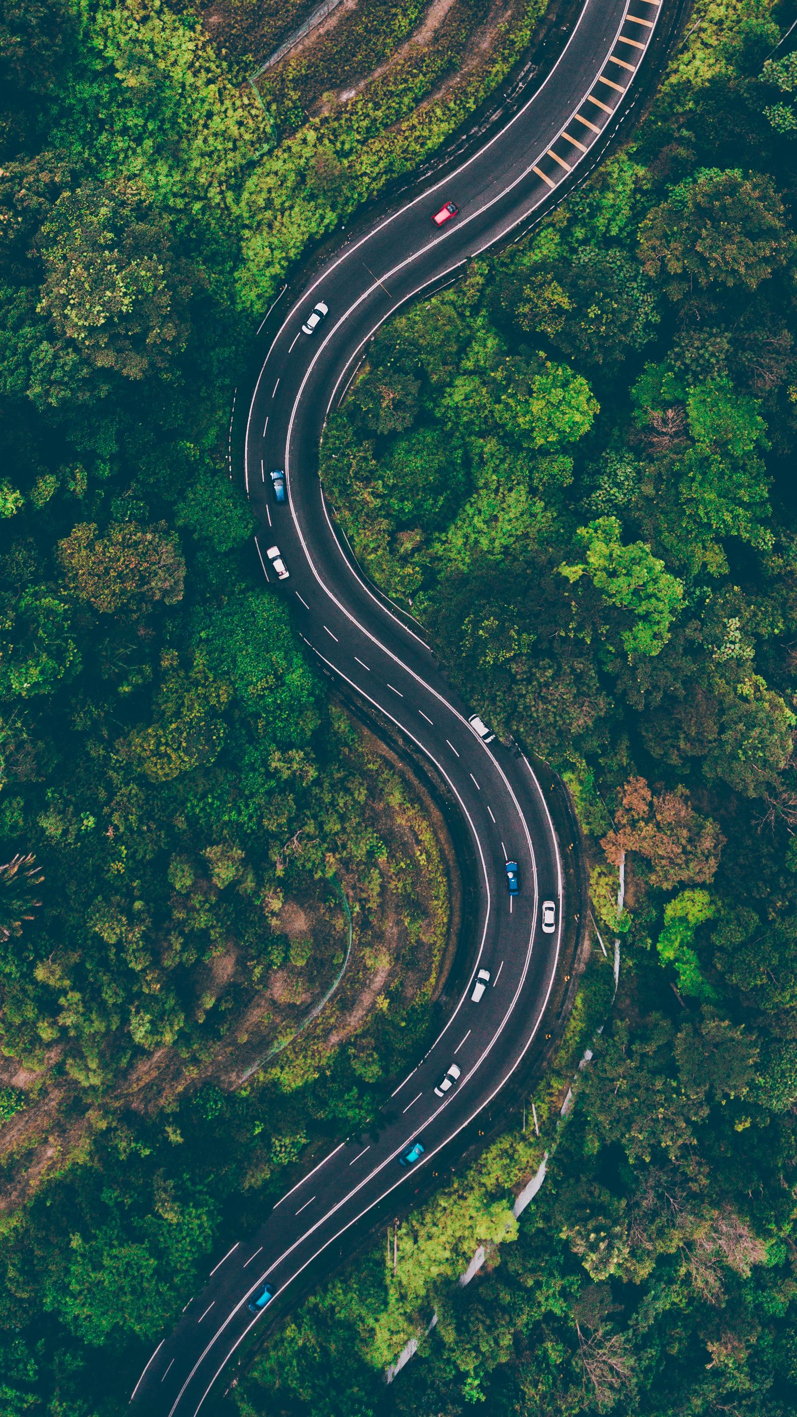 Aerial view of an S-shaped road cutting through dense forest