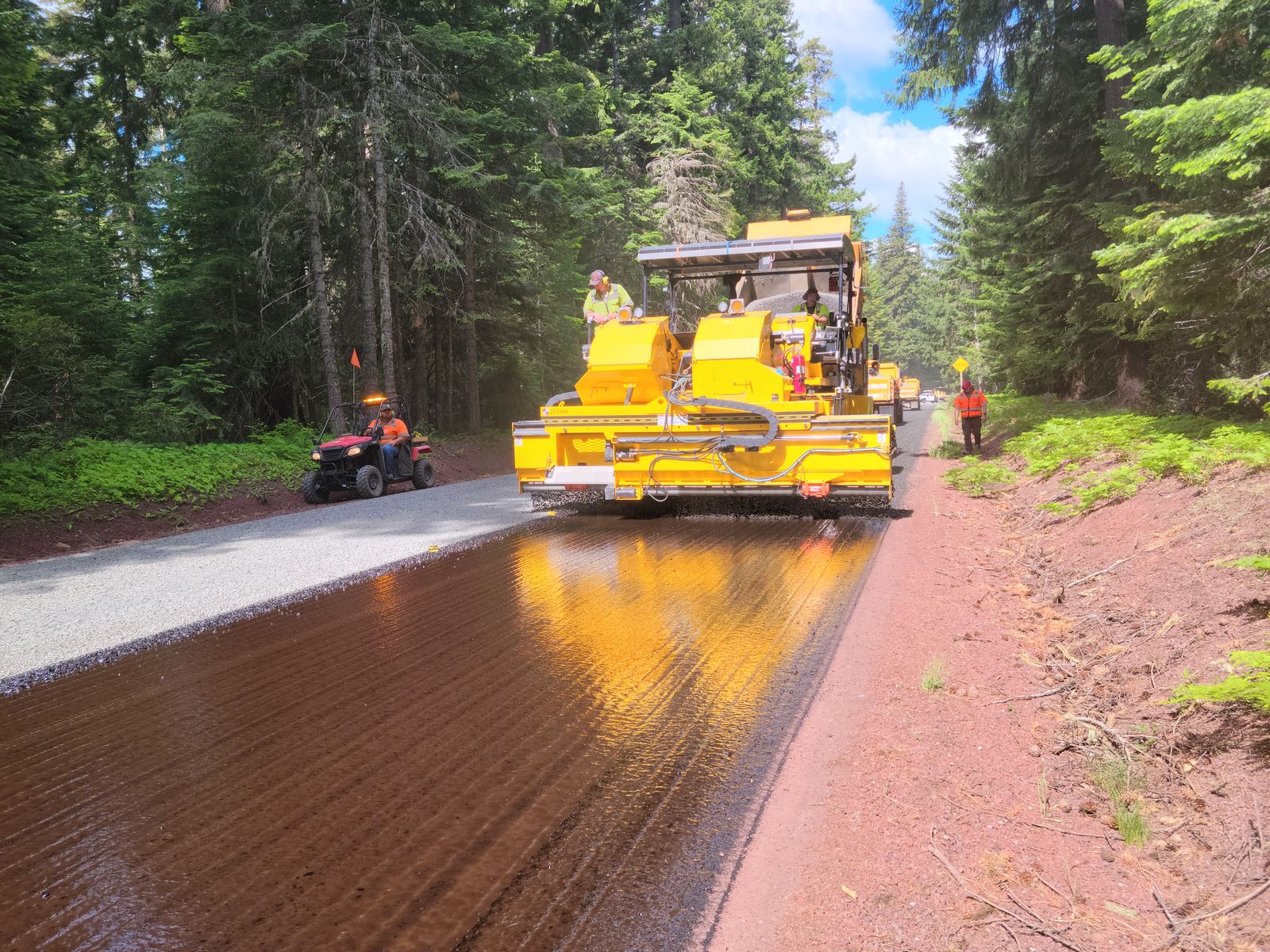 Crew maintaining a road through a forest