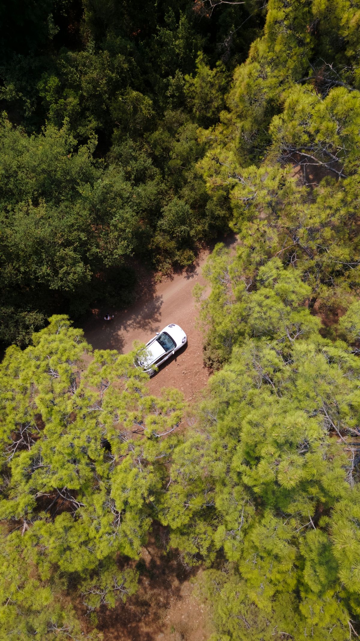 Vehicle on a forest road seen from the air
